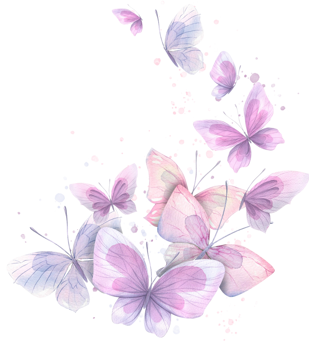 butterflies