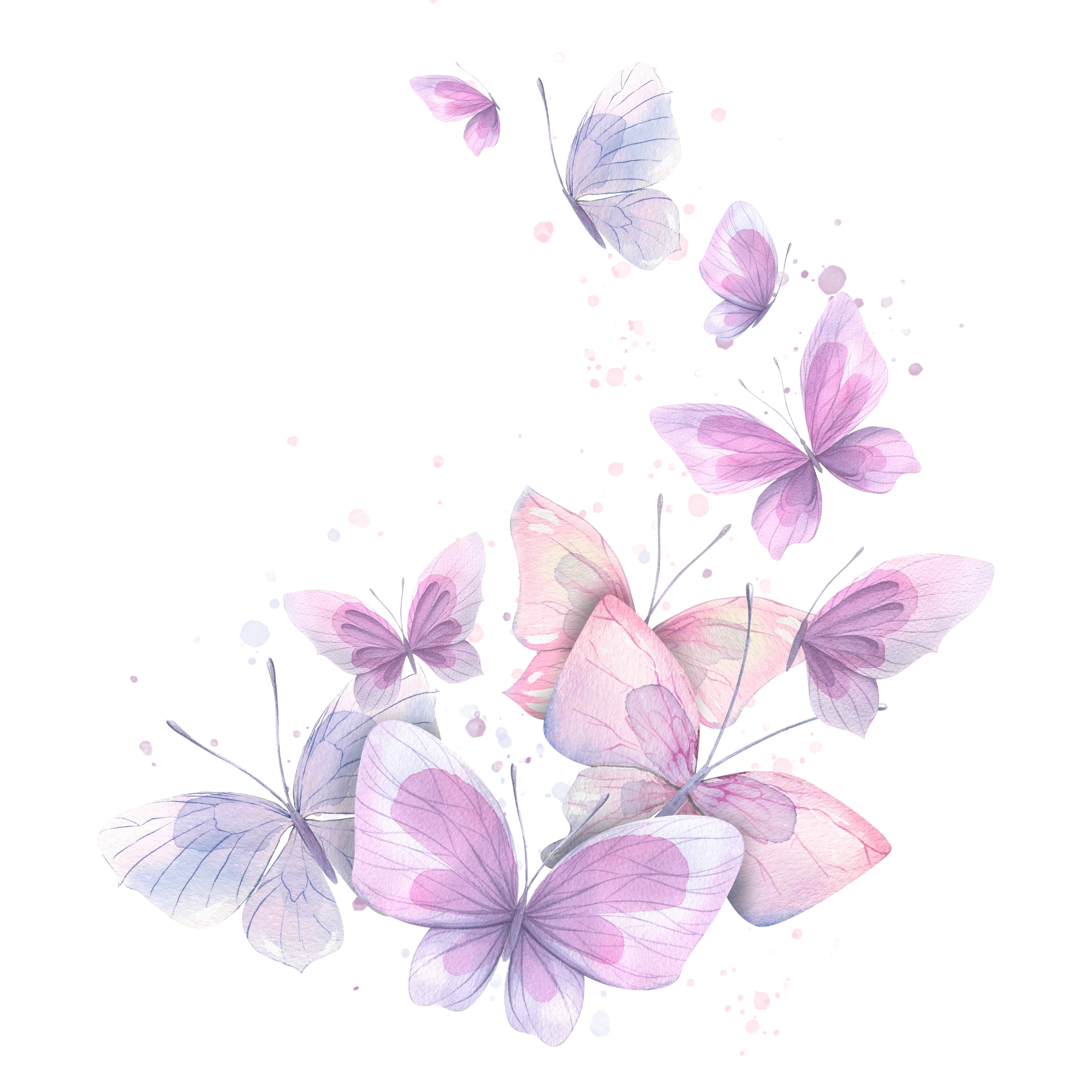 butterflies